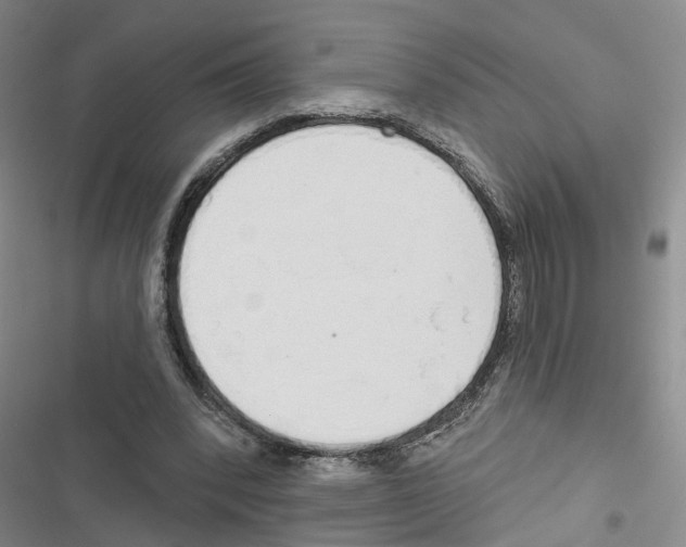 X0000116830392201001151231