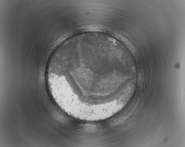 X0000116830394201001151230