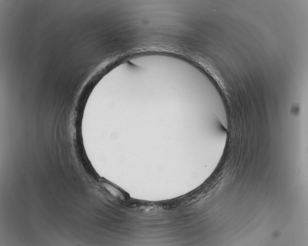 X0000116830395201001151230