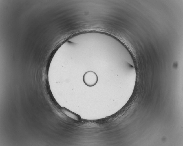 X0000116830397201001151230