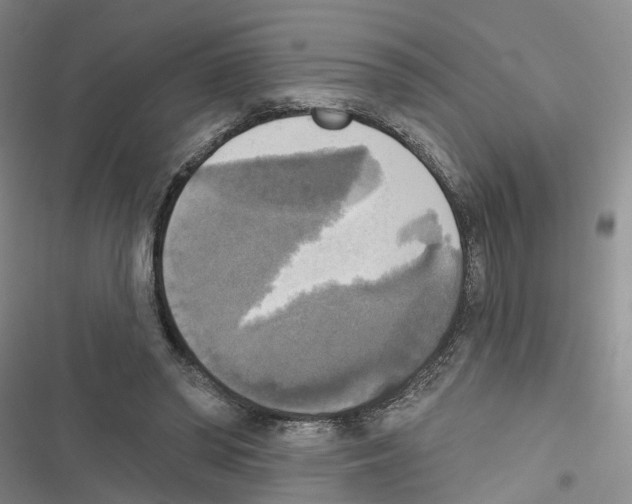 X0000116830398201001151230