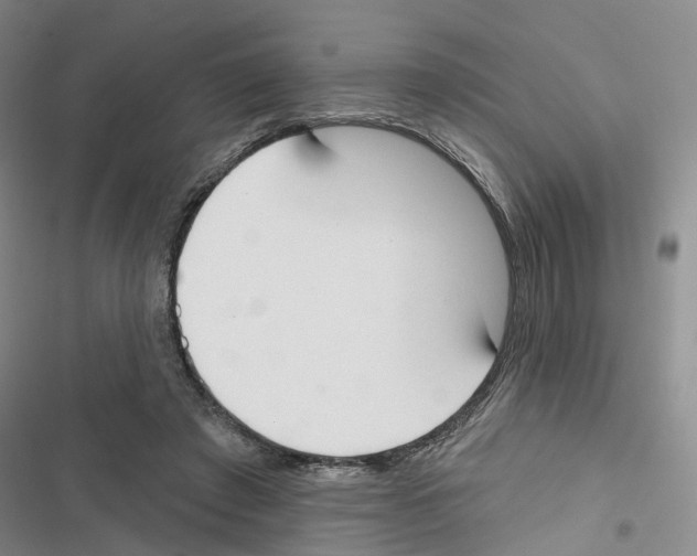 X0000116830401201001151230