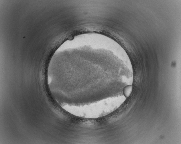 X0000116830402201001151230