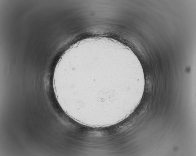 X0000116830404201001151230