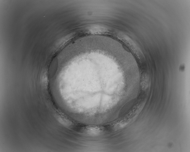 X0000116830405201001151230