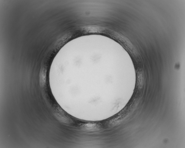 X0000116830406201001151230