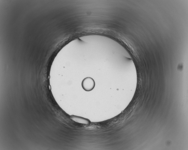 X0000116830407201001151230