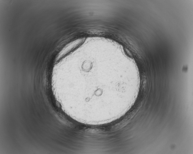 X0000116830408201001151230