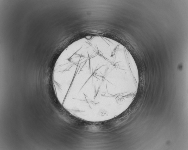 X0000116830412201001151230