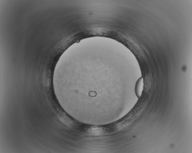 X0000116830413201001151230