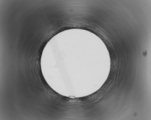 X0000116830415201001151230