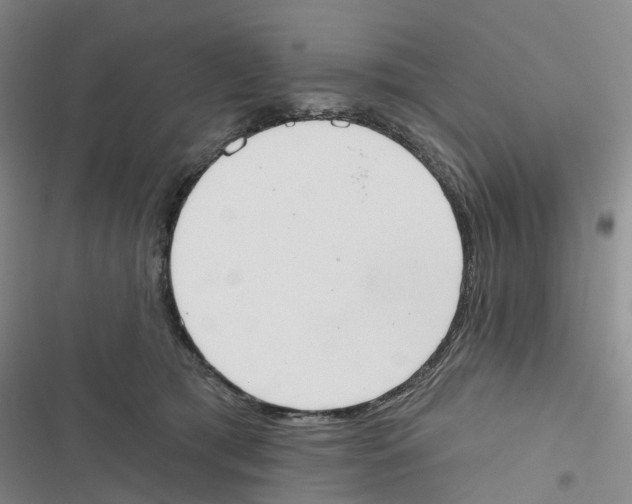 X0000116830417201001151230