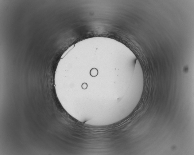 X0000116830419201001151230