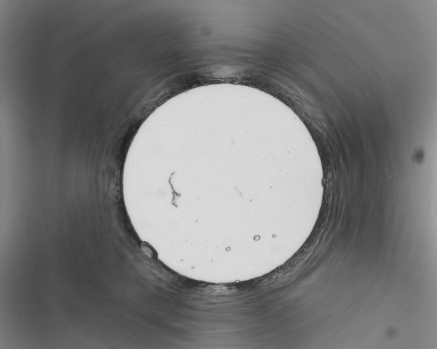 X0000116830421201001151230