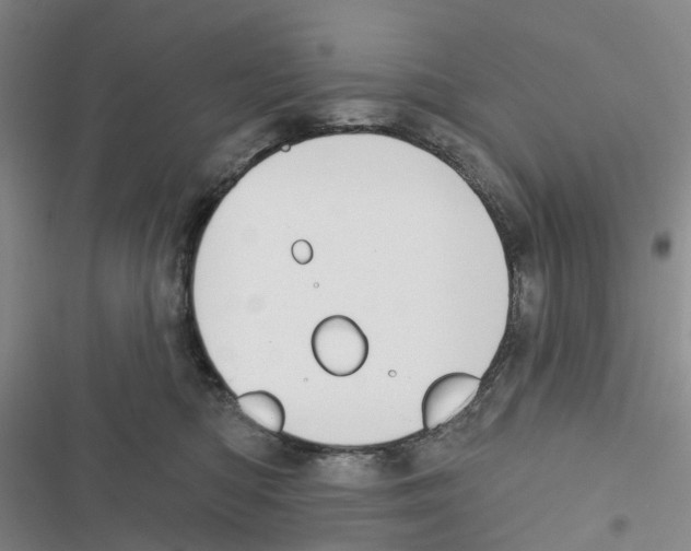 X0000116830422201001151230