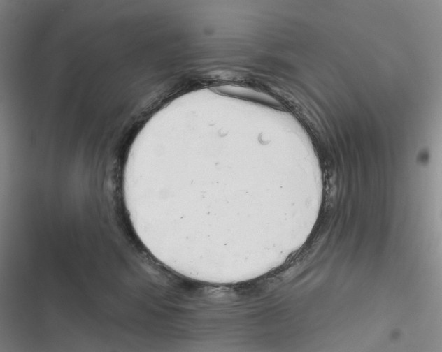 X0000116830424201001151230