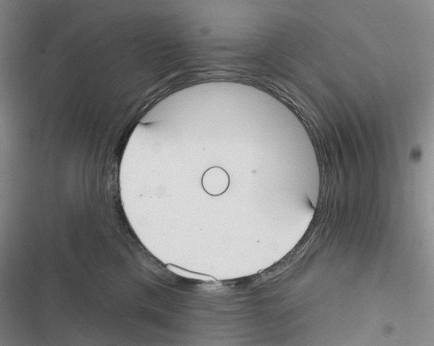 X0000116830425201001151230