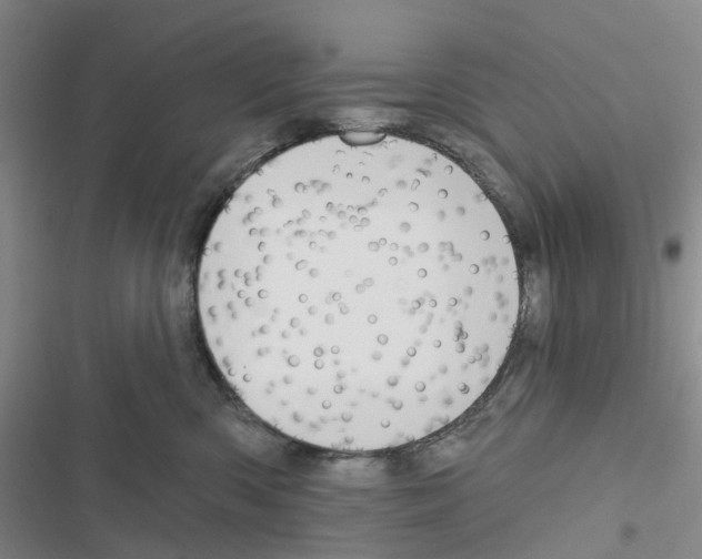 X0000116830426201001151230