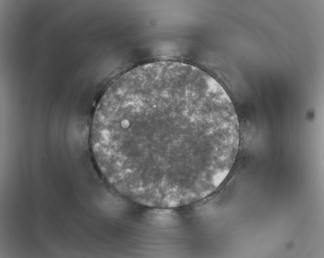 X0000116830427201001151230