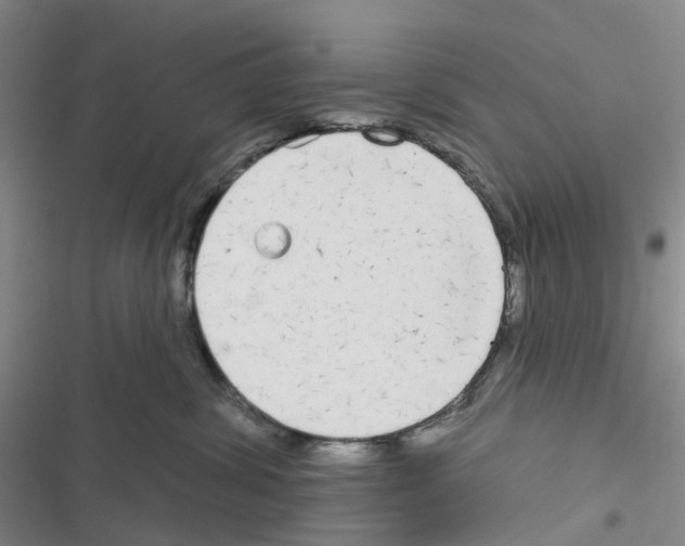 X0000116830428201001151230