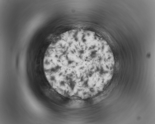 X0000116830429201001151230