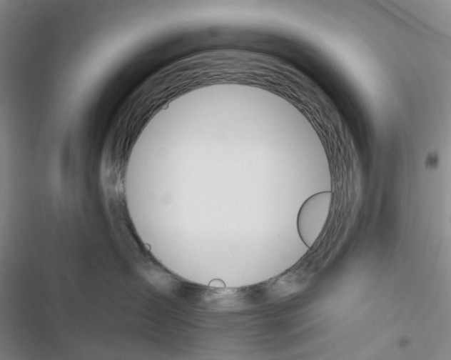 X0000116830431201001151230