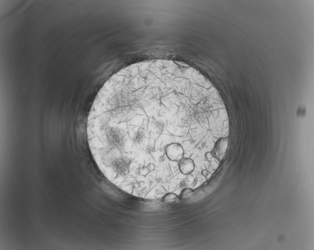 X0000116830432201001151230