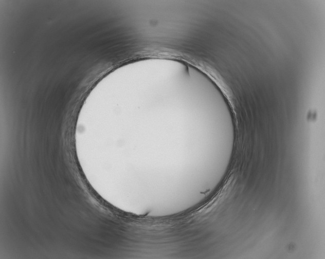 X0000116830433201001151229