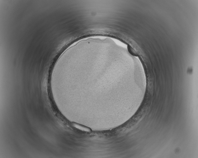 X0000116830434201001151229