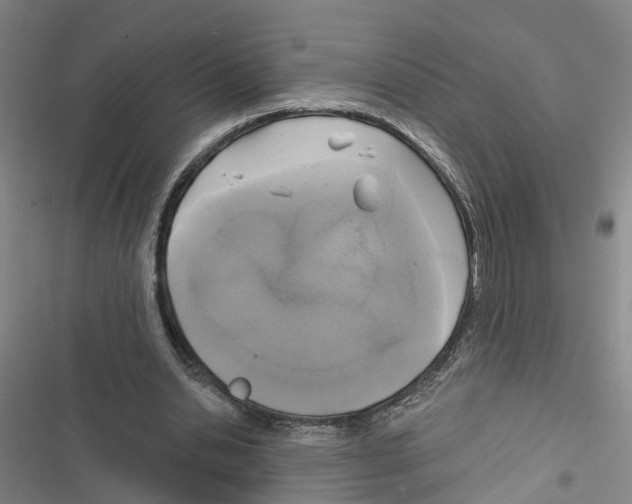 X0000116830438201001151229