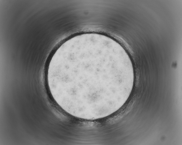 X0000116830439201001151229