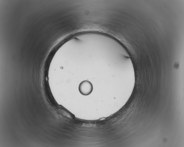 X0000116830440201001151229