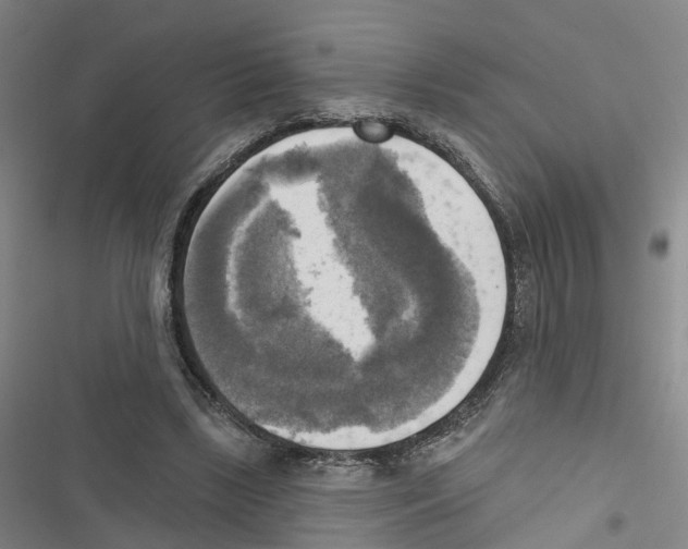 X0000116830443201001151229