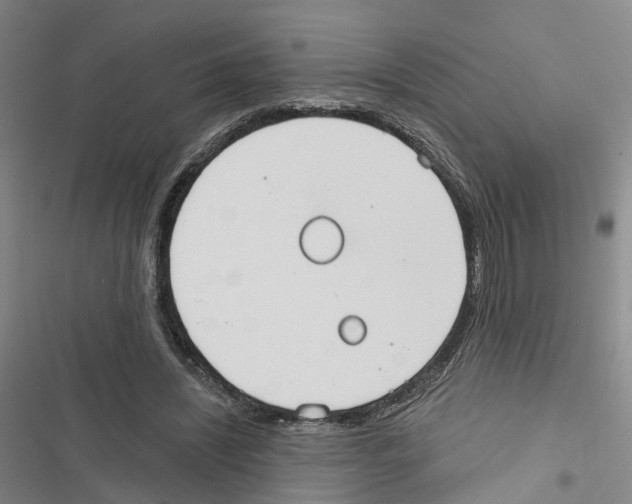 X0000116830444201001151229