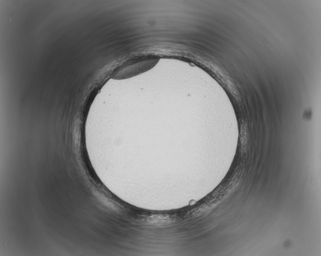 X0000116830445201001151229