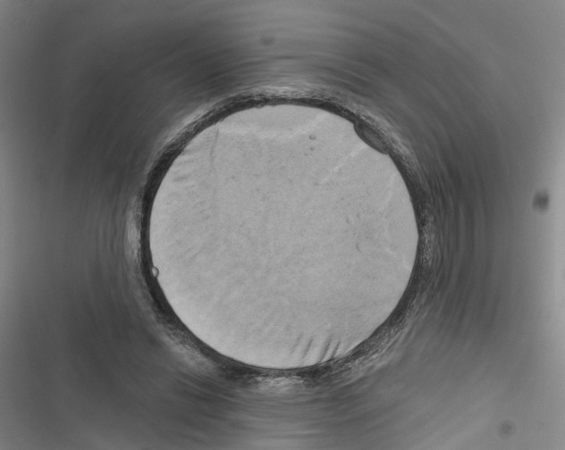 X0000116830446201001151229