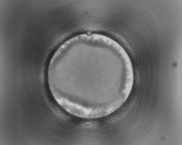 X0000116830447201001151230