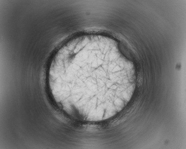 X0000116830448201001151230