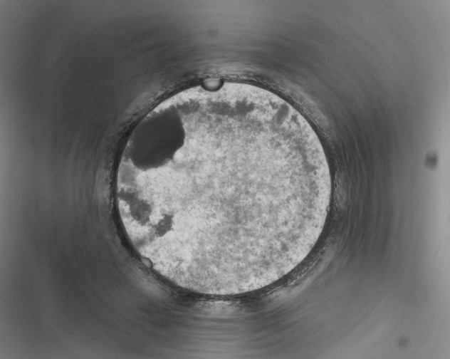 X0000116830449201001151230