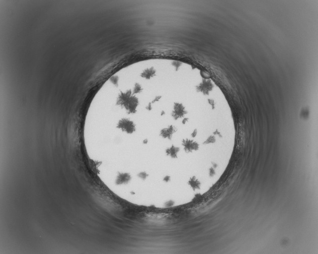 X0000116830450201001151230