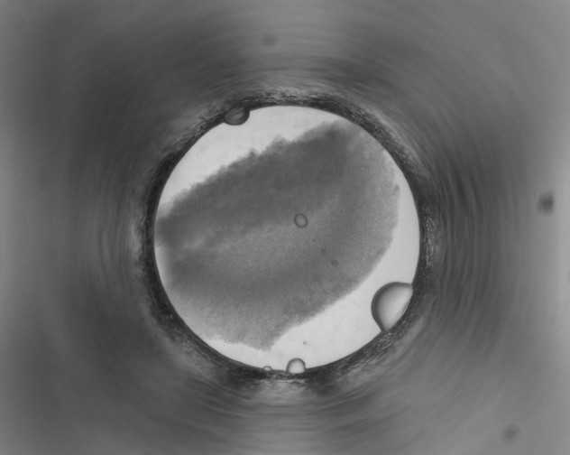 X0000116830451201001151230