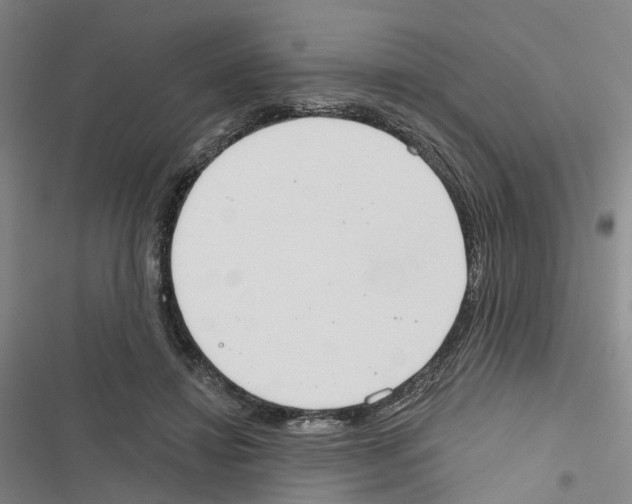 X0000116830452201001151230