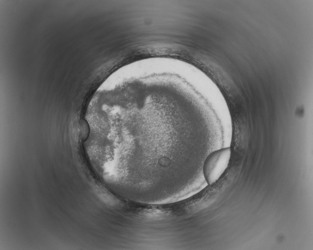 X0000116830453201001151230