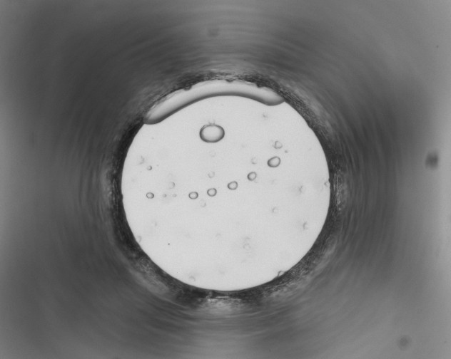 X0000116830455201001151230