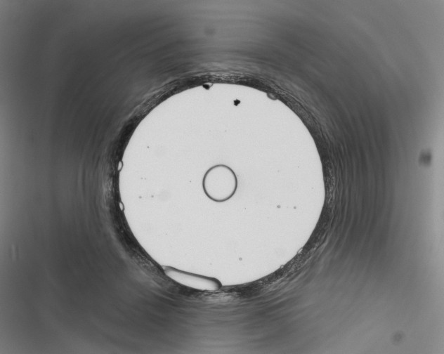 X0000116830456201001151230