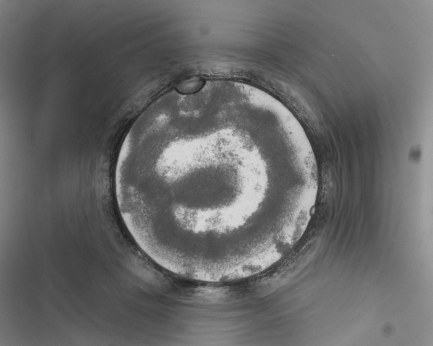 X0000116830457201001151230