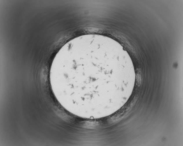 X0000116830458201001151230