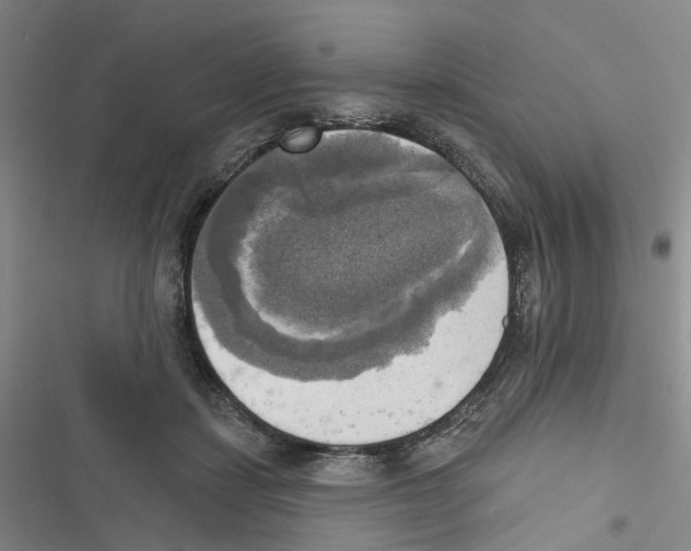 X0000116830459201001151230