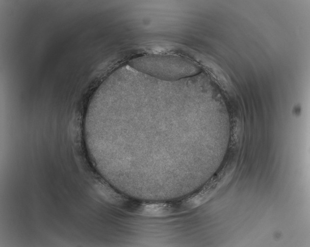 X0000116830461201001151230