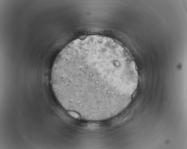 X0000116830462201001151230